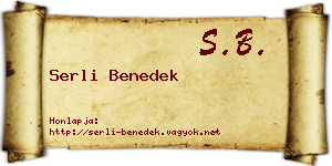 Serli Benedek névjegykártya